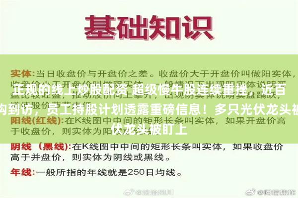 正规的线上炒股配资 超级慢牛股连续重挫，近百家机构到访，员工持股计划透露重磅信息！多只光伏龙头被盯上