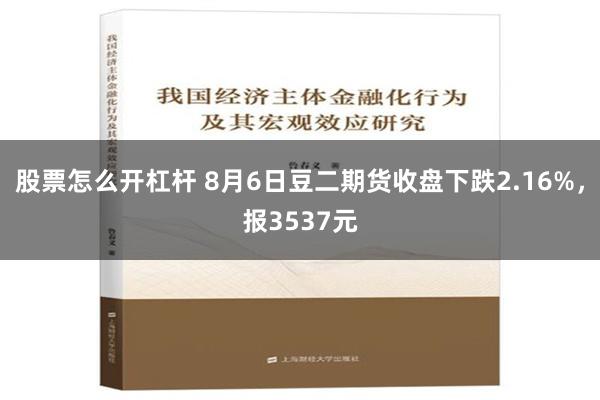 股票怎么开杠杆 8月6日豆二期货收盘下跌2.16%，报3537元