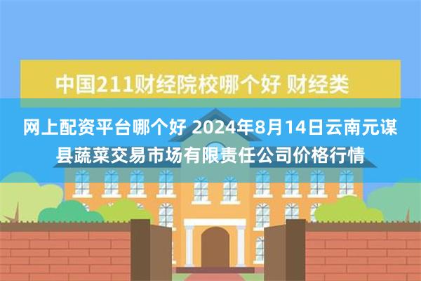 网上配资平台哪个好 2024年8月14日云南元谋县蔬菜交易市场有限责任公司价格行情