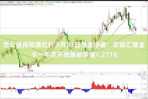 怎么使用股票杠杆 8月23日基金净值：农银汇理金丰一年定开债最新净值1.2718