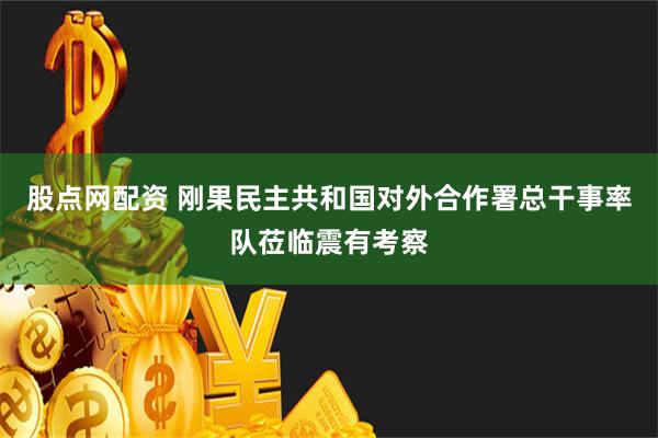 股点网配资 刚果民主共和国对外合作署总干事率队莅临震有考察