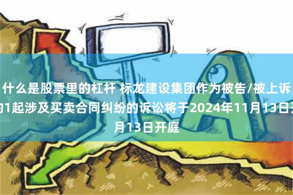 什么是股票里的杠杆 标龙建设集团作为被告/被上诉人的1起涉及买卖合同纠纷的诉讼将于2024年11月13日开庭