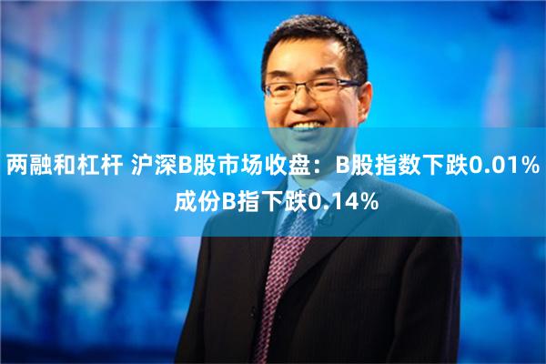 两融和杠杆 沪深B股市场收盘：B股指数下跌0.01% 成份B指下跌0.14%